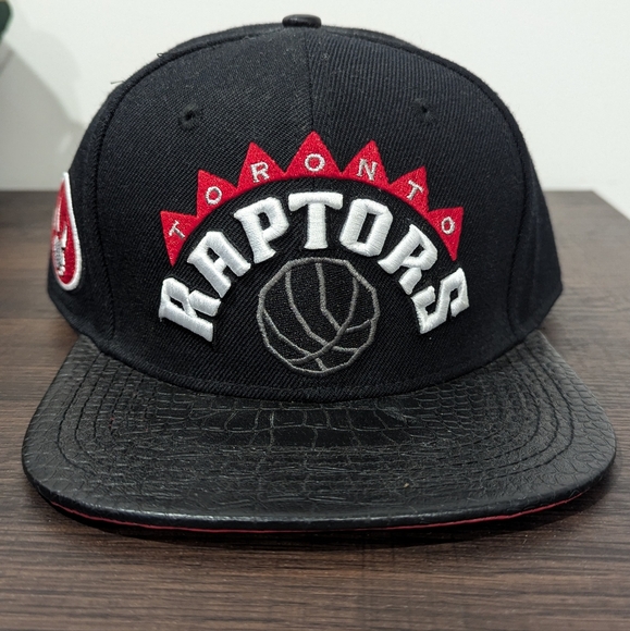 Other - Toronto Raptors strap back